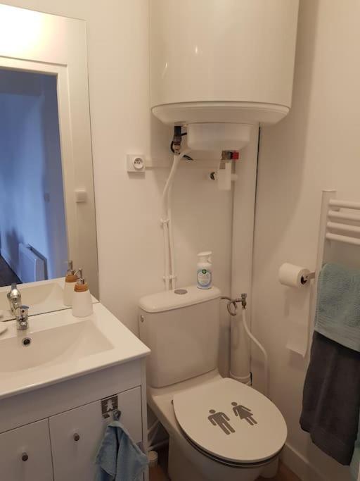 Appartement Lumineux Et Moderne لو مان المظهر الخارجي الصورة